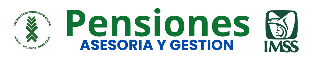 GESTION IMSS 1080 X 200